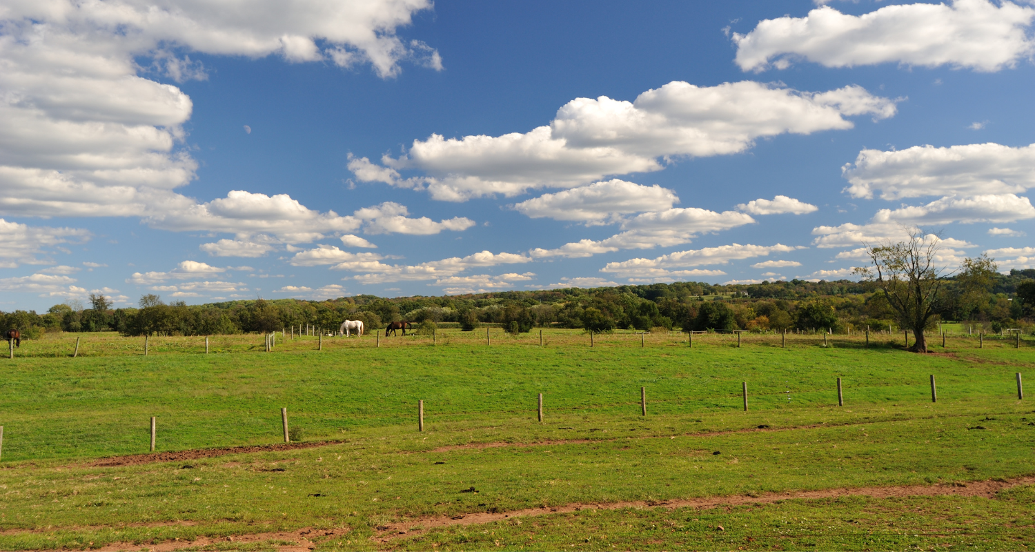 Australian Farmland Market Trends: What 2024 Holds for Investors