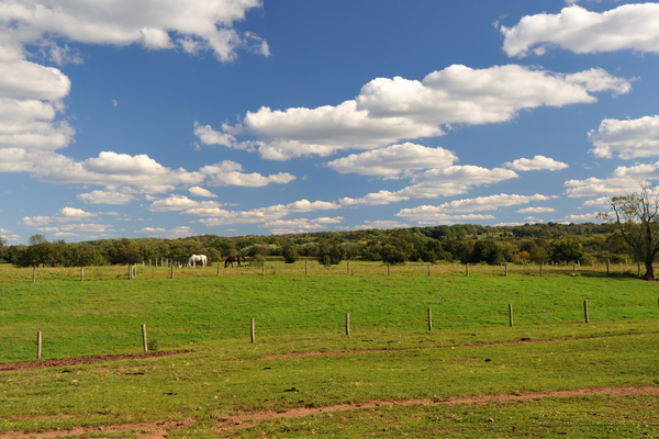 Australian Farmland Market Trends: What 2024 Holds for Investors