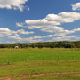 Australian Farmland Market Trends: What 2024 Holds for Investors