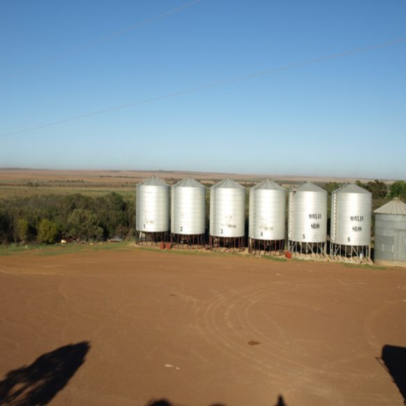 Ngungali farm