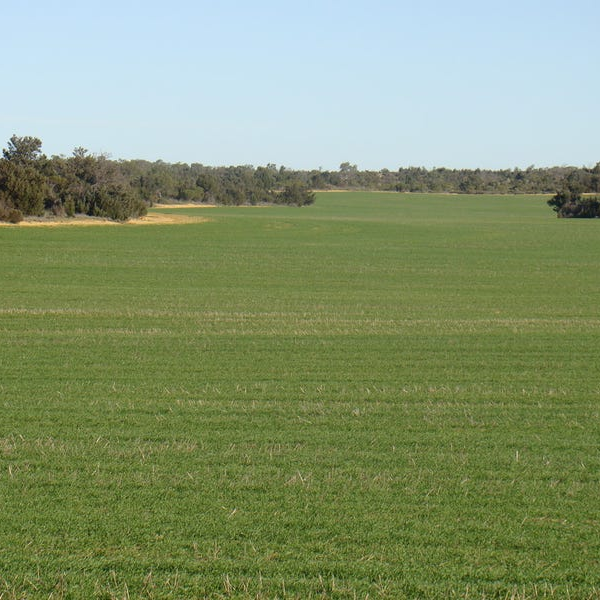 Walverdene farm